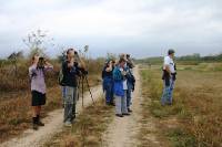 Waco Wetlands 013 
